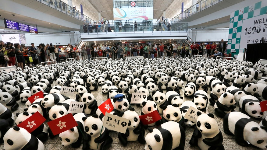 Hong Kong Panda Tour_Leff.jpg
